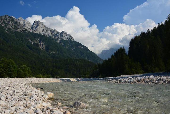 Rooms Barovc By The Lake Jasna Kranjska Gora Exterior foto The river in the park